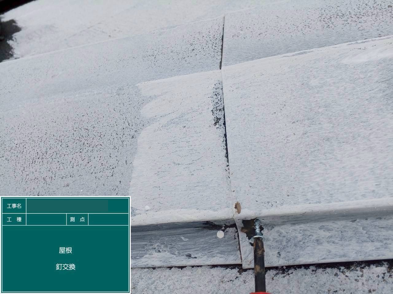 棟板金をビスで再固定